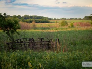 Sunset Photography Walk