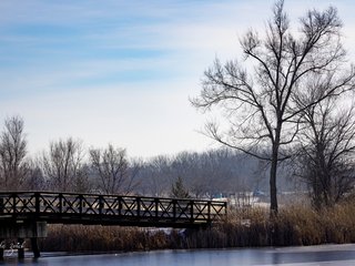 Bridge