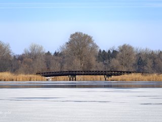 Bridge