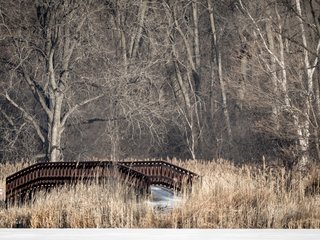 Bridge