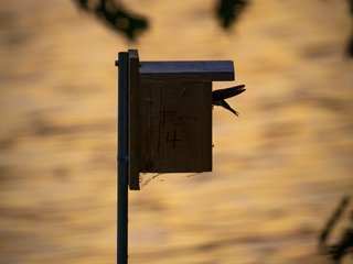 Sunset Photography Walk