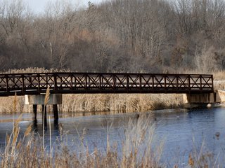 Bridge
