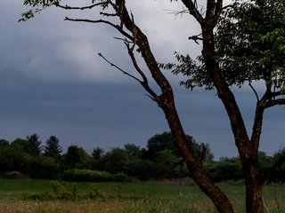 Sunset Photography Walk