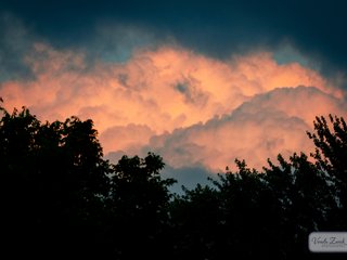 Sunset Photography Walk