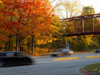 Cars Driving Under the Bridge