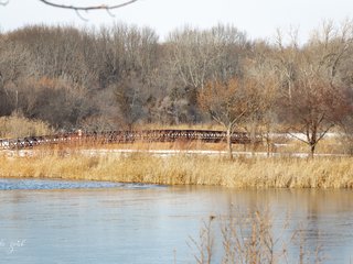 Bridge