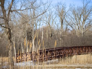 Bridge