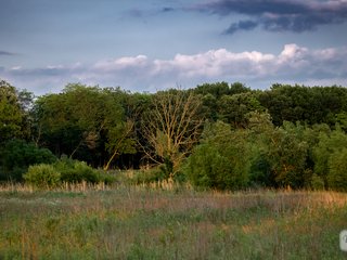 Sunset Photography Walk