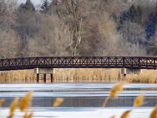 Bridge