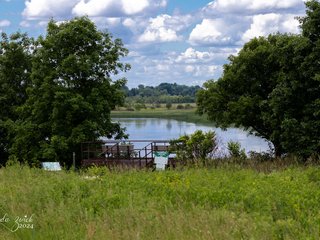 Nelson Lake