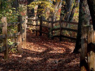 Path from the Bird Observation Building