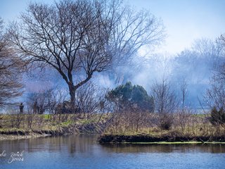 Controlled Burn