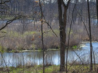 Sulky Pond