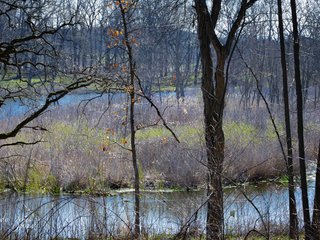 Sulky Pond