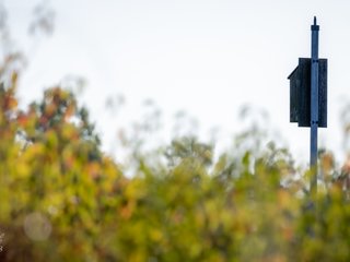 Deserted Birdhouse on Phantom Trail