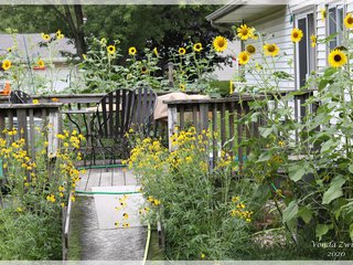 Backyard Deck Area