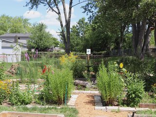 Rain Garden