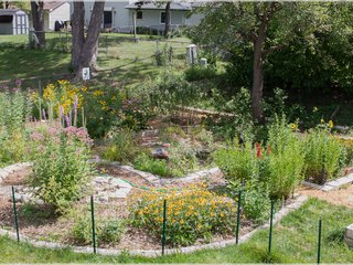 Rain Garden