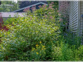 Garden Along the North Side of the House