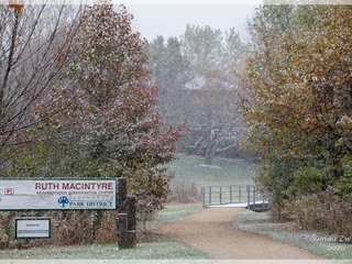 Ruth Macintyre Conservation Area