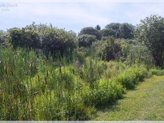 Along the Creek