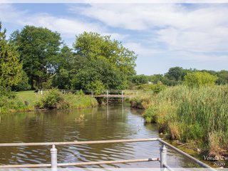 Pond Observation Deck 1