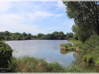 Pond Observation Deck 1