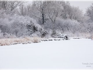 Ruth Macintyre Conservation Area