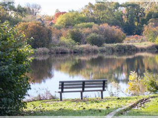 New Bench